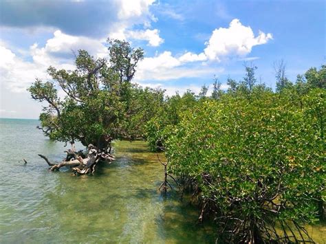THE 5 BEST Places to Visit in Sagay City (UPDATED 2024).